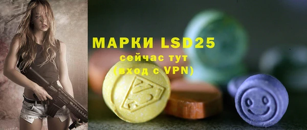 PSILOCYBIN Остров