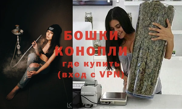 PSILOCYBIN Остров