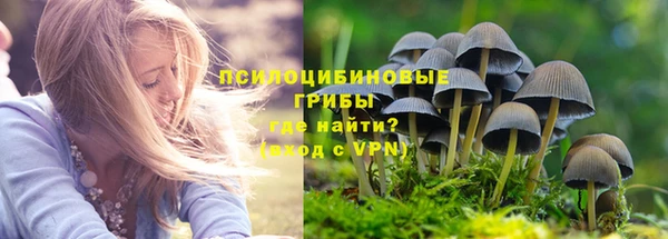 бошки Осинники