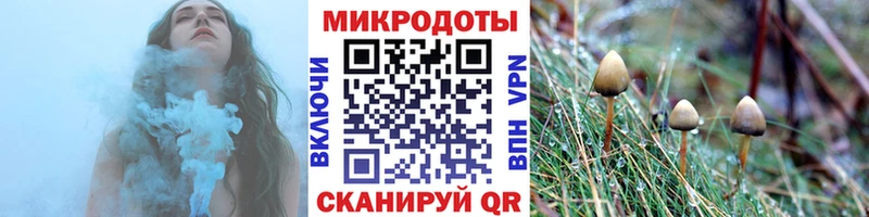 Псилоцибиновые грибы Psilocybine cubensis Пущино