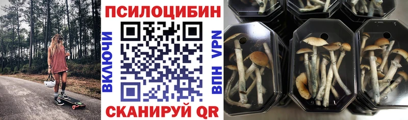 Галлюциногенные грибы GOLDEN TEACHER  mega рабочий сайт  Пущино 